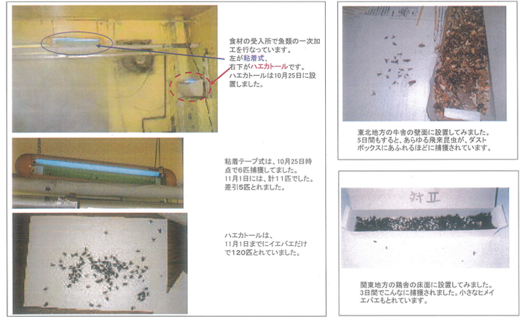 新商品情報